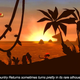 Image for article titled Review: Donkey Kong Country Returns Is Hypnotic, Hard Fun